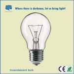 incandescent bulb 220v 60w e27