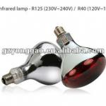 waterproof Infrared lamp