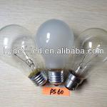 Light manufacturer incandescent bulb 110v 60w