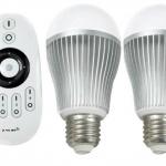 Color temperature and brightness adjustable led bulb