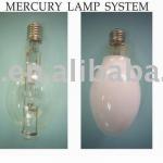 Mercury Lamp