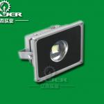 IP65 10-80W metal halide floodlight