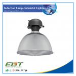 Low Frequency Long Life Span Energy Saving High Bay Induction Lamp with Ballast