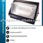 Induction Lamp for Wallpack Light (BMX885)