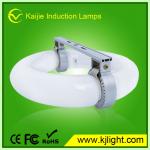 High quality magnetic induction grow light induction grow lamp magnetic induction lamp