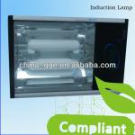 induction lamp fixture/outdoor lamp fixtures/inductance lighting fixture
