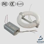 40W-300W Long Life and Saving Energy Cricular Magnetic Induction Light