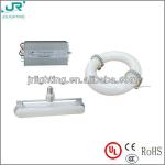 40W 60W 80W 100W 120W 150W 200W 250W 300W 400W 500W induction lamp with UL&amp;CE