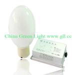 High Frequency Induction Lamp GL-120 MOQ: 100 SETS