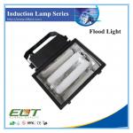 Electrodeless Flood Induction Light with Self Ballast Low Frequency