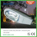 40w 60w tempered glass induction lamp street light