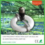 INDUCTION LAMP 40-300W E40, LOW FREQUENCY INDUCTION LIGHT-UN-SICE-300
