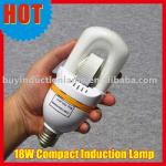 E27/E40 18W~80W Compact Self-ballast Induction Lamp 2700K/6500K 60000H home/hotel light every saving lamp