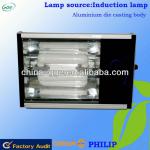 solar induction tunnel light/hydroponic induction light