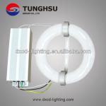 100w To 300w Competitive Price Induction Lamp Saler
