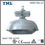 Factory Induction Light