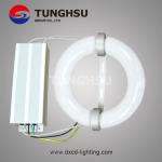 Round Tubular Induction Lamp High Lighting Efficacy