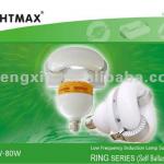Compact Self-ballast Low Frequency Induction Lamp/Induction Light Bulb