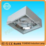 FN-D250W energy saving lvd induction lamp
