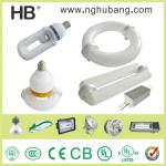 HB 40W 600W 250W price lvd induction lamp