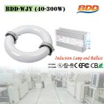 120W China Lighting Indoor Lighting Induction Round Tube-BDD-WJY-120W-HX
