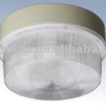 Induction Lamp for Ceiling Light (EDL-XD002)