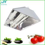 400W 500W plasma grow light induction grow light