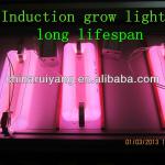 Specilal spectrum 400W induction lighting grow
