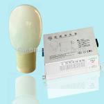 High frequency Induction Lamp with high qualities GL-60