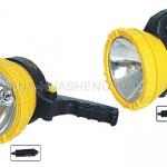 Car light accessory GXM06031D