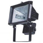 Halogen flood light