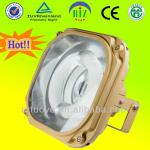 Induction explosion proof flood light 200W with TUV-CB