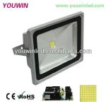 Meanwell 50Watt LED Flood Light Tower