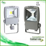 Lemon selling 30w high lumen led flood light huizhou lighting