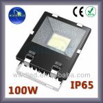 100 watt led flood light