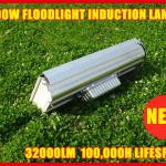 Induction lamp 400W