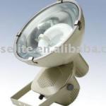 Induction Lamp for Flood Light (EDL-TG002)-EDL-TG002