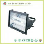 induction lamp 100-300V lamp and lights lamp solar 200W