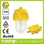 50/85W Energy Save Electrodeless Ex Proof Floodlight/Low Carbon Oilfield Light
