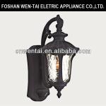 Hot sale outdoor induction lamp