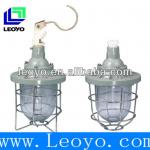 dB51-60 Explosion-proof Light