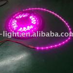 3528 60LEDs strip lamp 24V pink uv color-YD-FPC 100C10/60