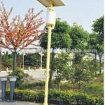 Solar LED Garden Lamp