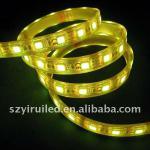 LED strip 150 LED SMD 5050 cold white waterproof