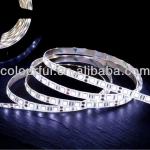 Flexible strip led light for decoration(CLF RDT-5050-60)