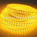 LED Rope light (square2 Wire)/lighting manufacturer CE/RoHS-DS-S2-yellow-LED RL