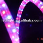LED flat rope light/3wire LED flat rope light/CE,GS,ROHS/led christmas decorative lights