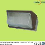 2013 CE ROHS 80W Induction Lamp for Wall Light high quality HLG722 2700K 5000K 6500K