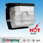 Wall Mount Outdoor Induction Light