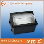 Commercial Led induction wall pack
